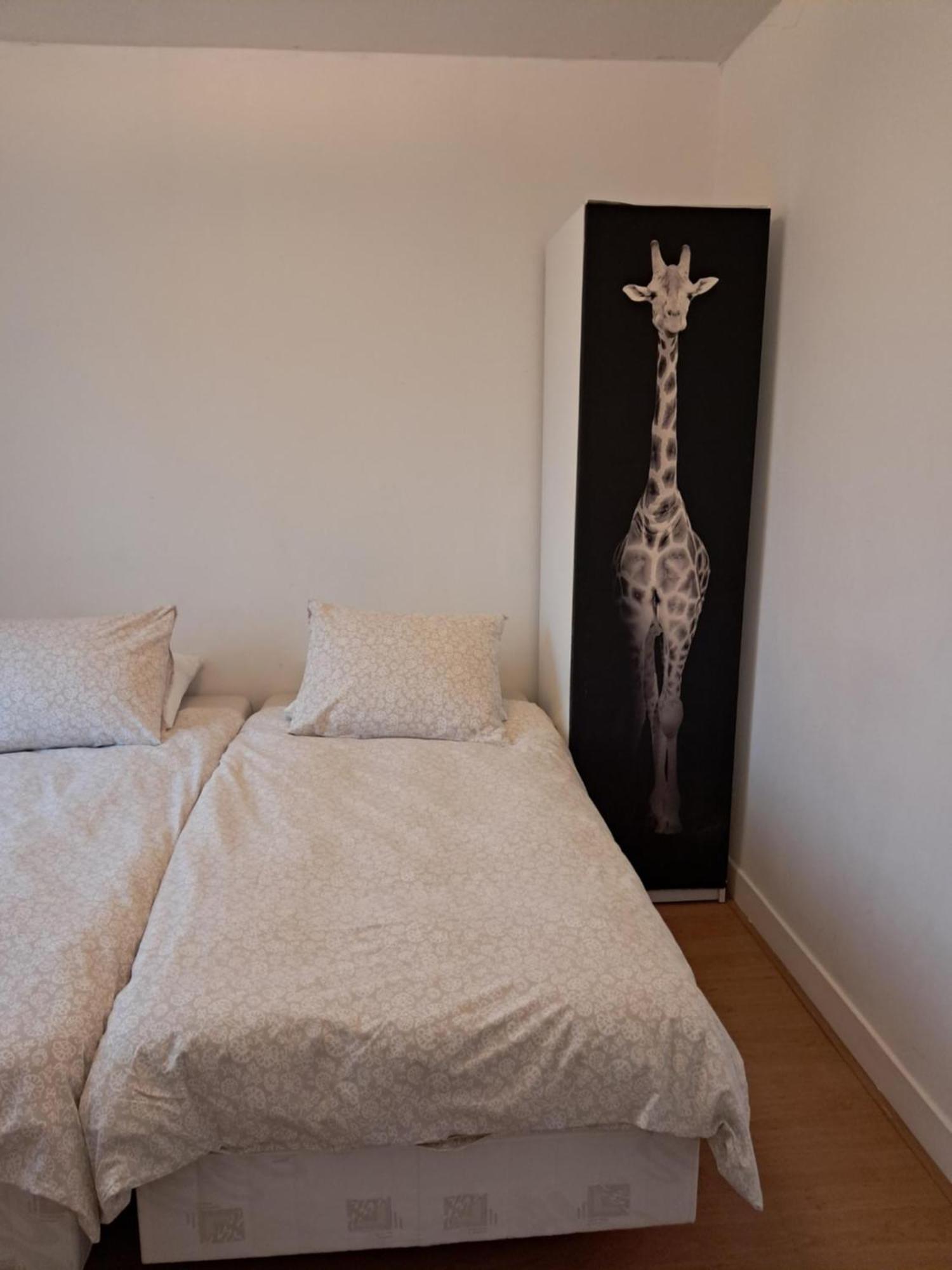 El Sol Zandvoort Phòng bức ảnh